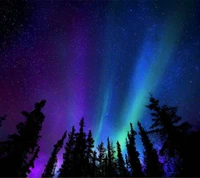 Cielo nocturno encantador iluminado por la aurora boreal