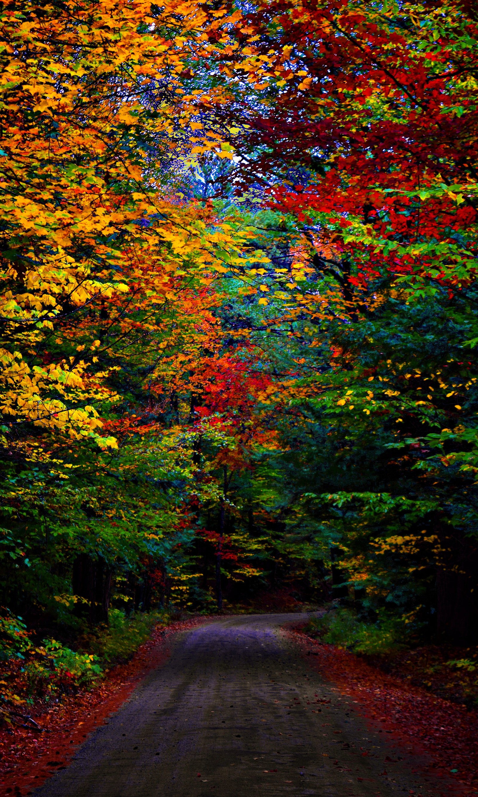 Descargar fondo de pantalla otoño, camino de tierra, nuevo hampshire