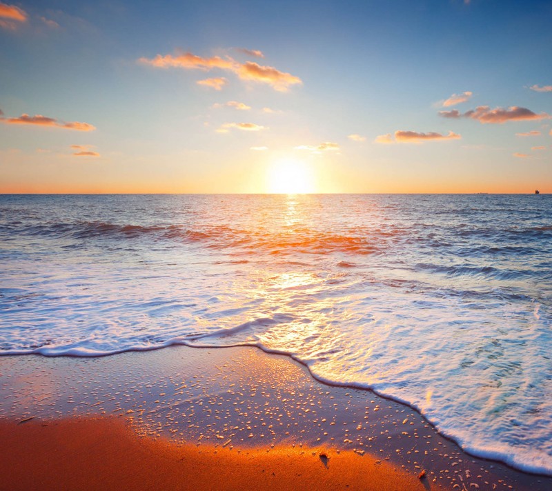 Закат над океаном с волнами и птицей на пляже (golden beach, пейзаж, природа)