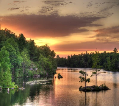 Coucher de soleil serein sur un lac tranquille entouré d'arbres luxuriants