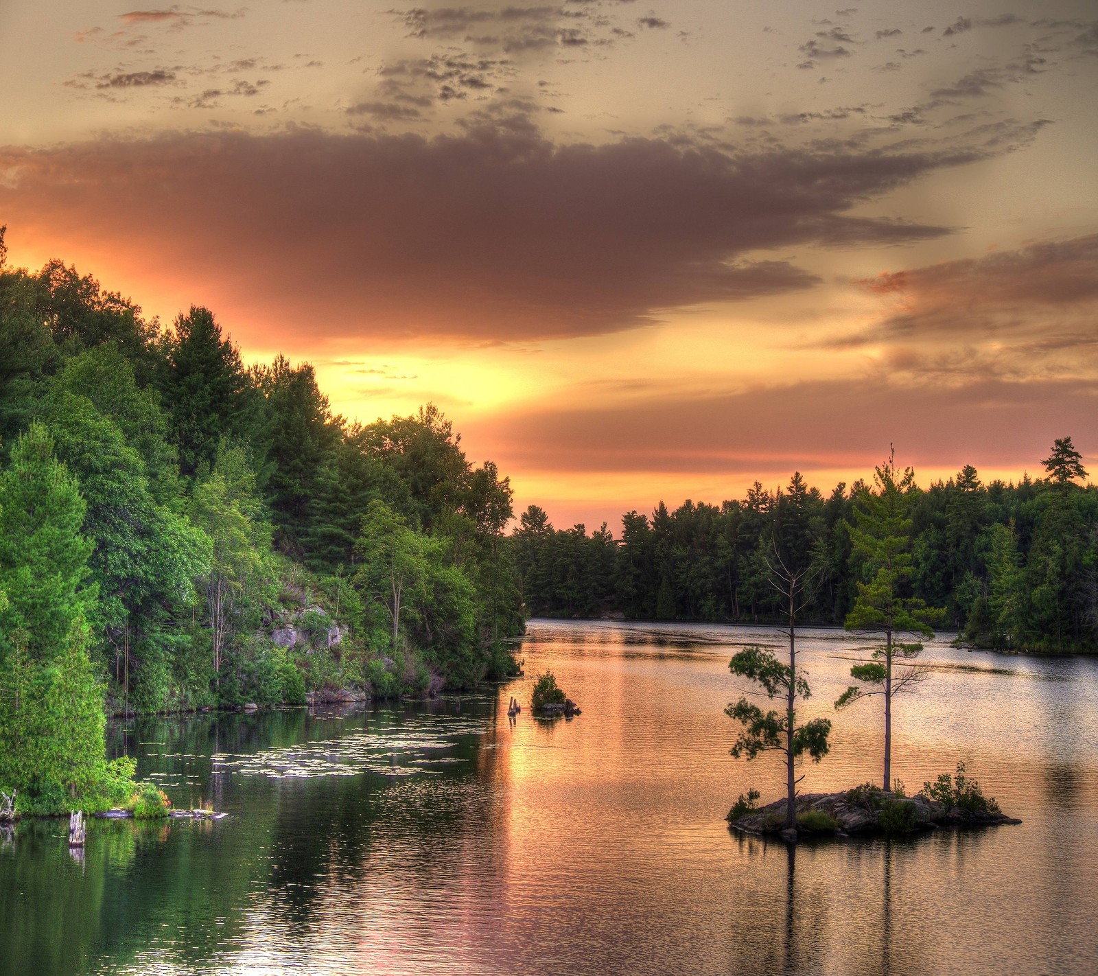 lake, nature, pond, sun, sunset wallpaper