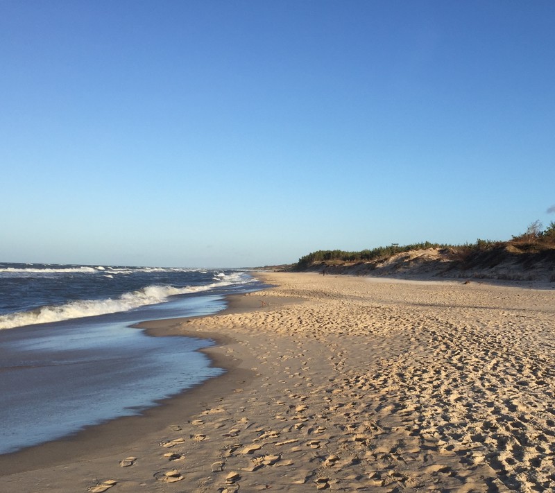 Jirafas en la playa con cielo azul y olas (baltikum, mielno, polonia)