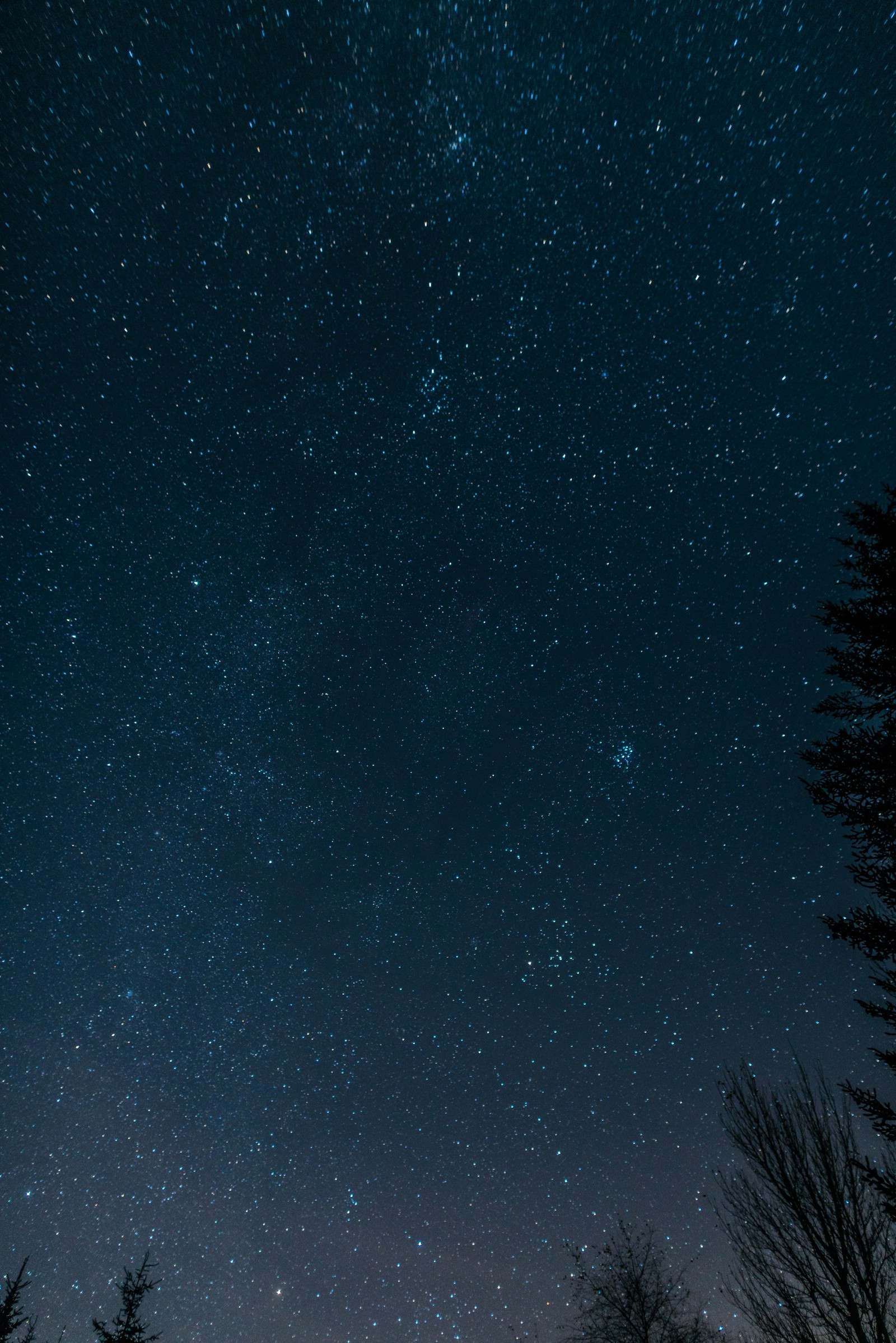 Ein sternenhimmel mit ein paar bäumen und einer bank im vordergrund. (schwarz, blau, nacht, atmosphäre, baum)