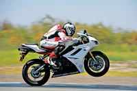 Motociclista fazendo um wheeling em uma superbike