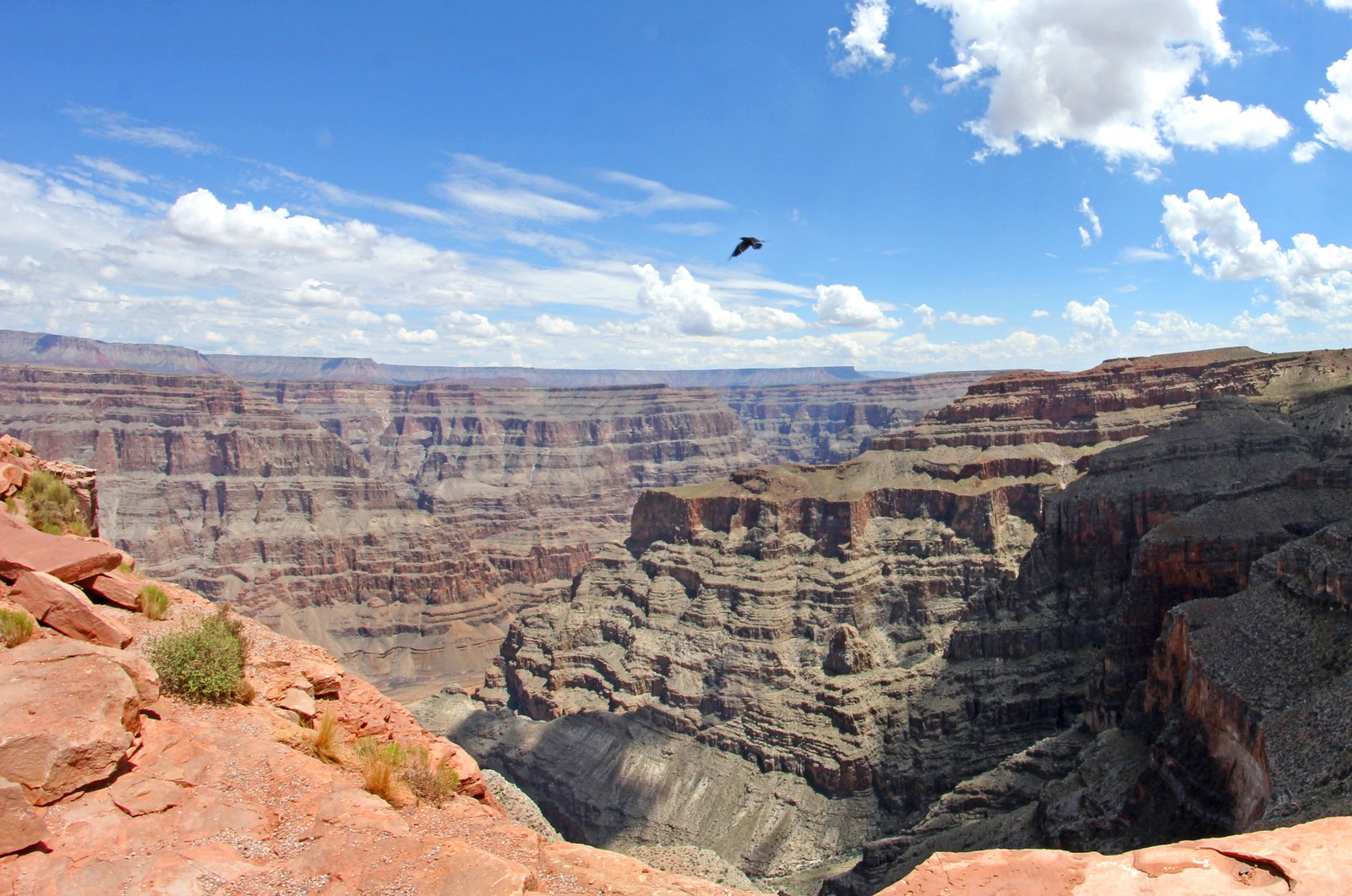 Araffe flying over a canyon with a bird in the sky (canyon, badlands, formation, rock, geology)