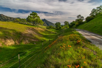 Paisagem de pastagem vibrante com colinas onduladas e flores silvestres