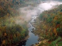 Herbstnebel über dem ruhigen Fluss in einem Naturschutzgebiet