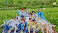 Joyful Moments with All Members of X1 K-Pop Group in a Lush Field