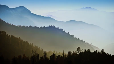 mac os x, mountains, forest, hills, foggy