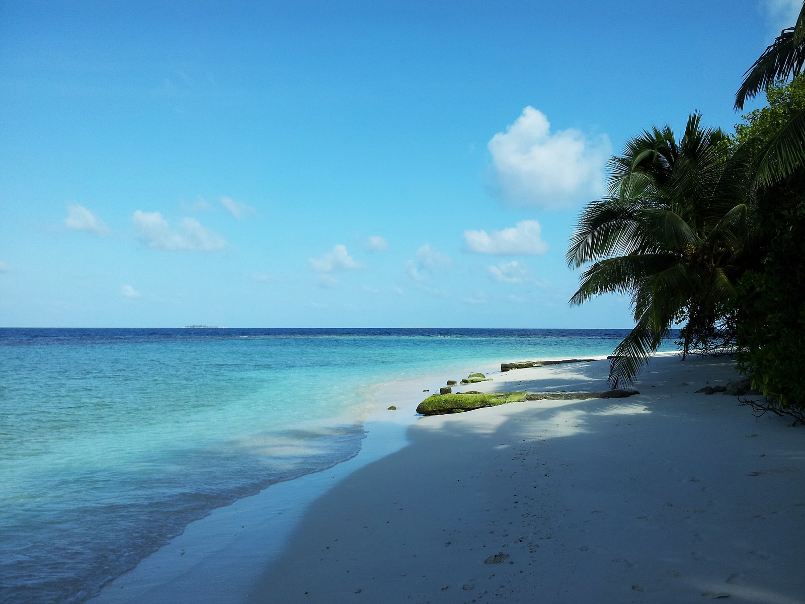 Téléchargez le fond d'écran plage, plan deau, tropiques, mer, océan