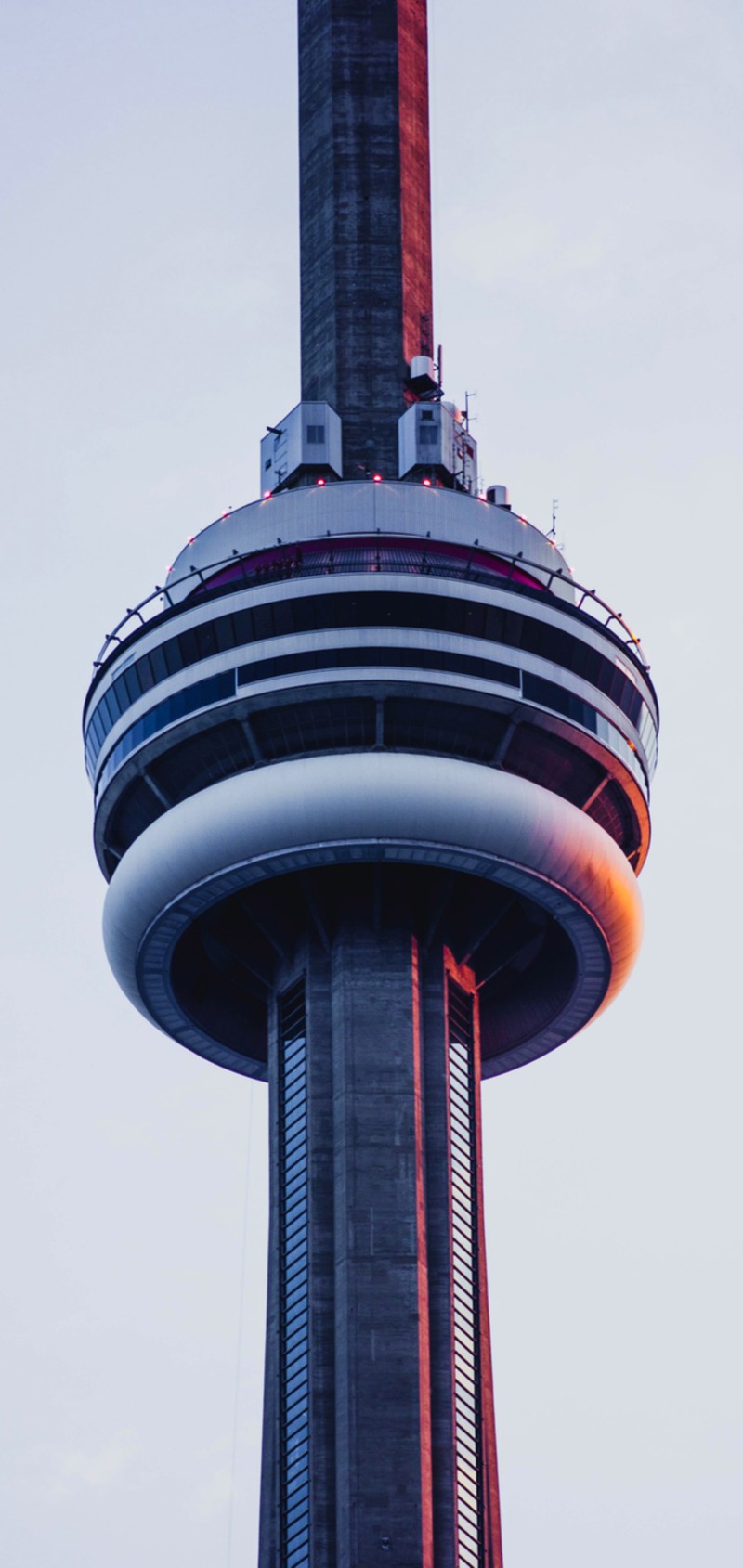 Жирафы в небе с красным светом сверху (башня, cn тауэр, cn tower, один всемирный торговый центр, one world trade center)