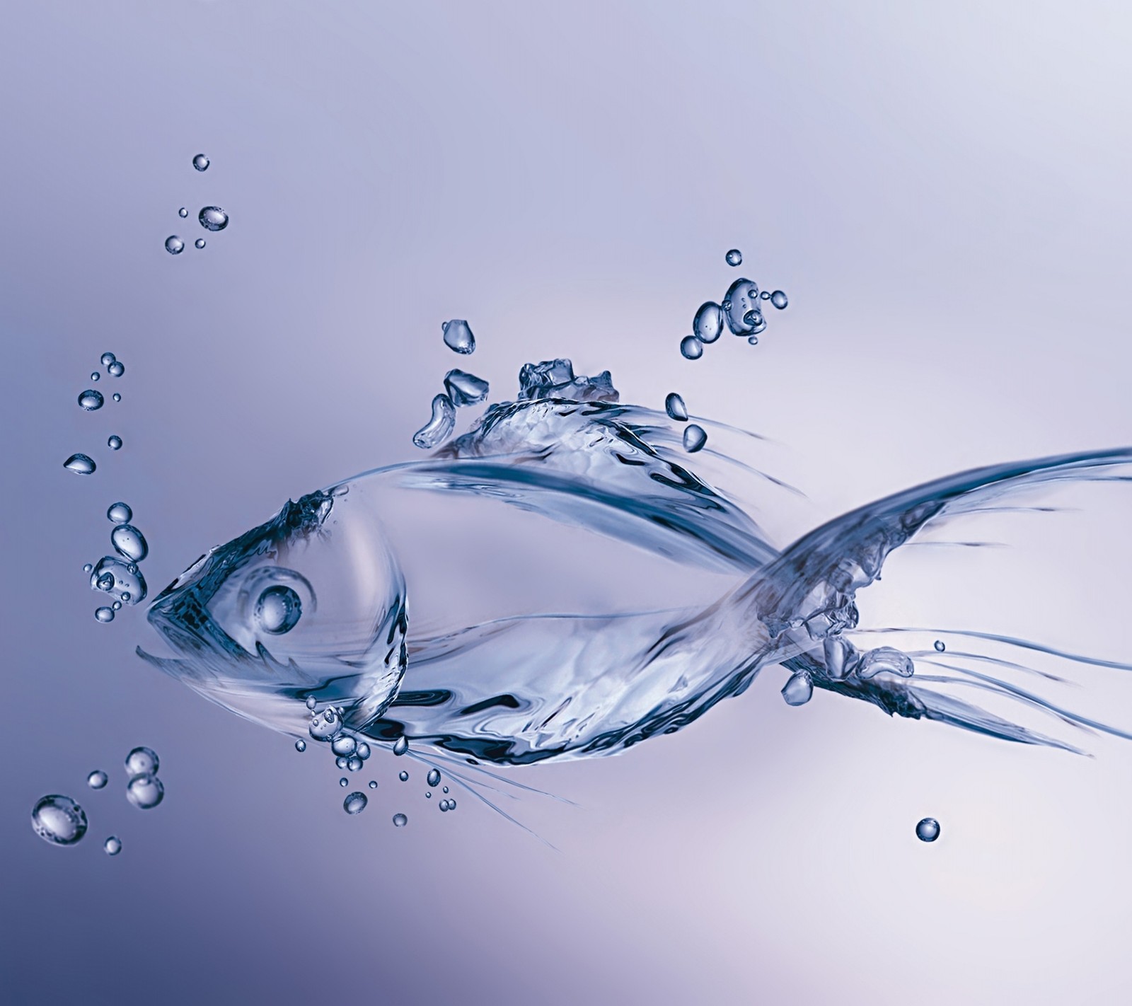 abstract, fish, glass, water Download Wallpaper