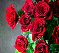 Bouquet de roses rouges vibrantes