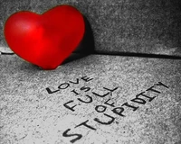 Love is Full of Stupidity: A Broken Heart's Reflection