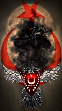 Turkish Armed Forces: Strength and Valor