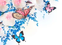 Colorful Butterflies Among Spring Florals