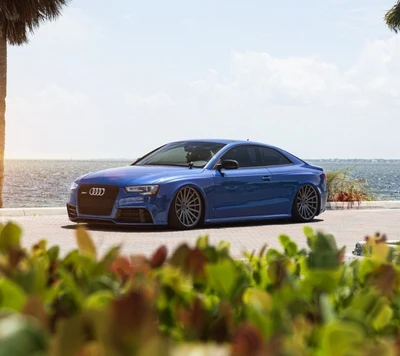 Sleek Blue Audi RS5 Against a Scenic Waterfront Backdrop