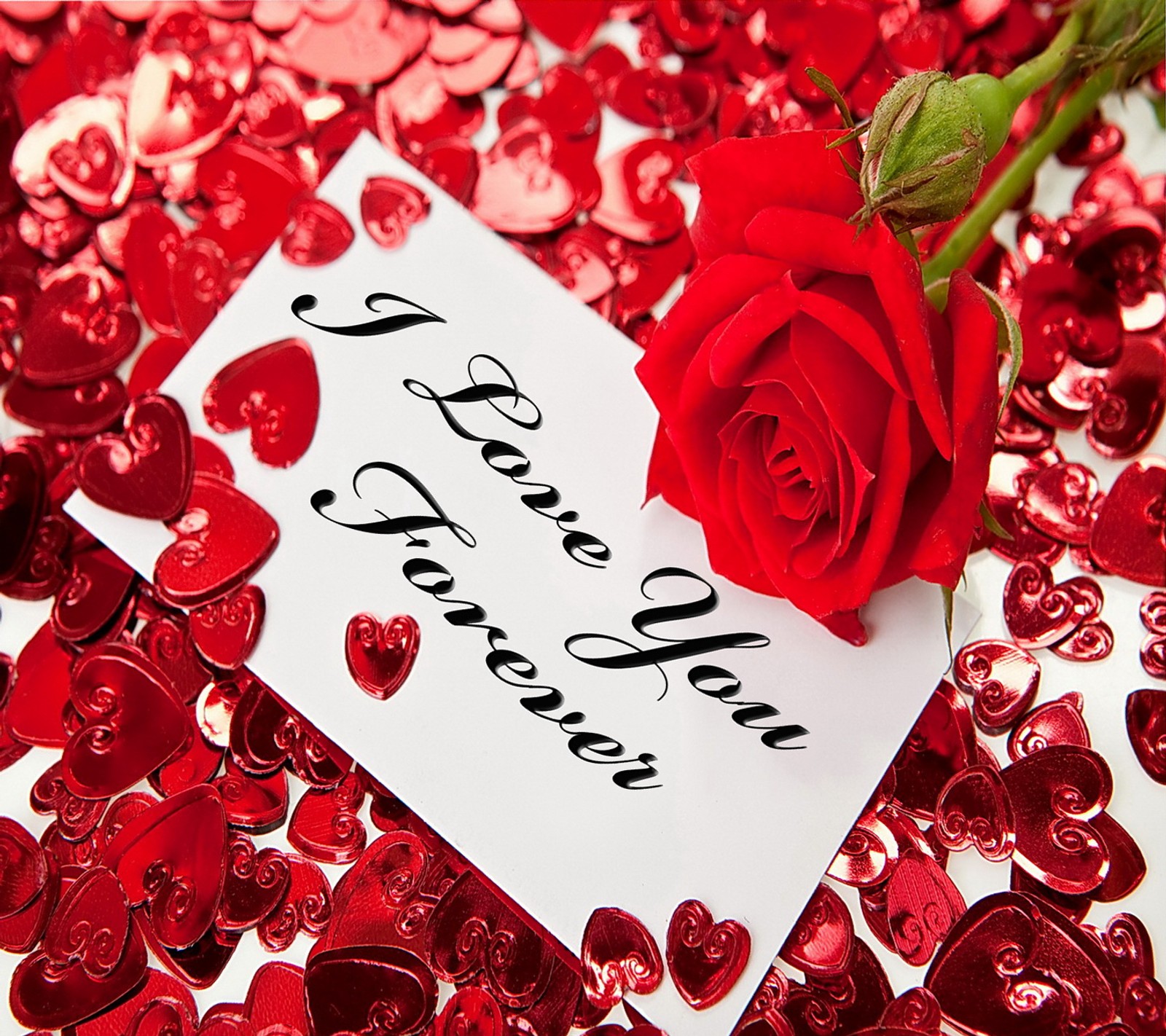 Une rose rouge posée sur une carte avec un message (cœur, amour, pétales, romantique, rose)