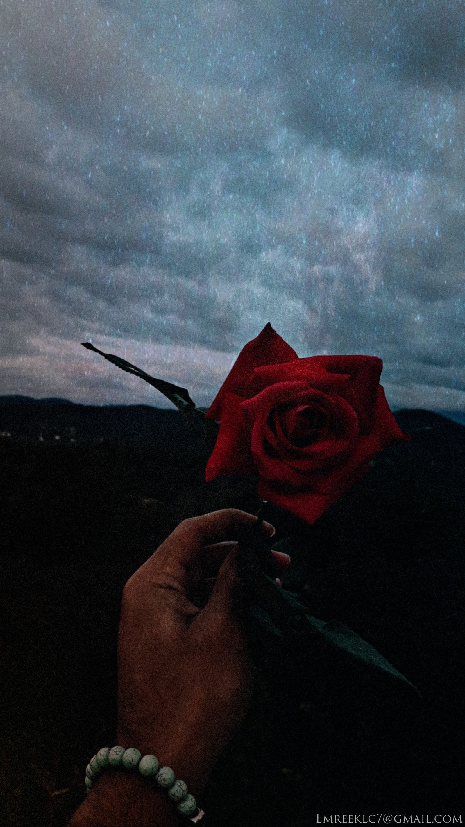 Alguém segurando uma rosa na mão com um fundo de céu (gul, gokyuzu, rosa)