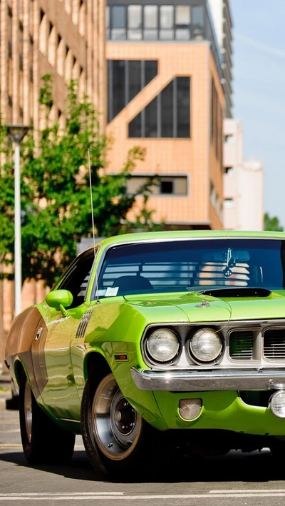 voiture, vert, muscle