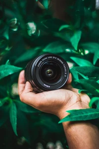 Canon EF-S Lens Amidst Lush Greenery