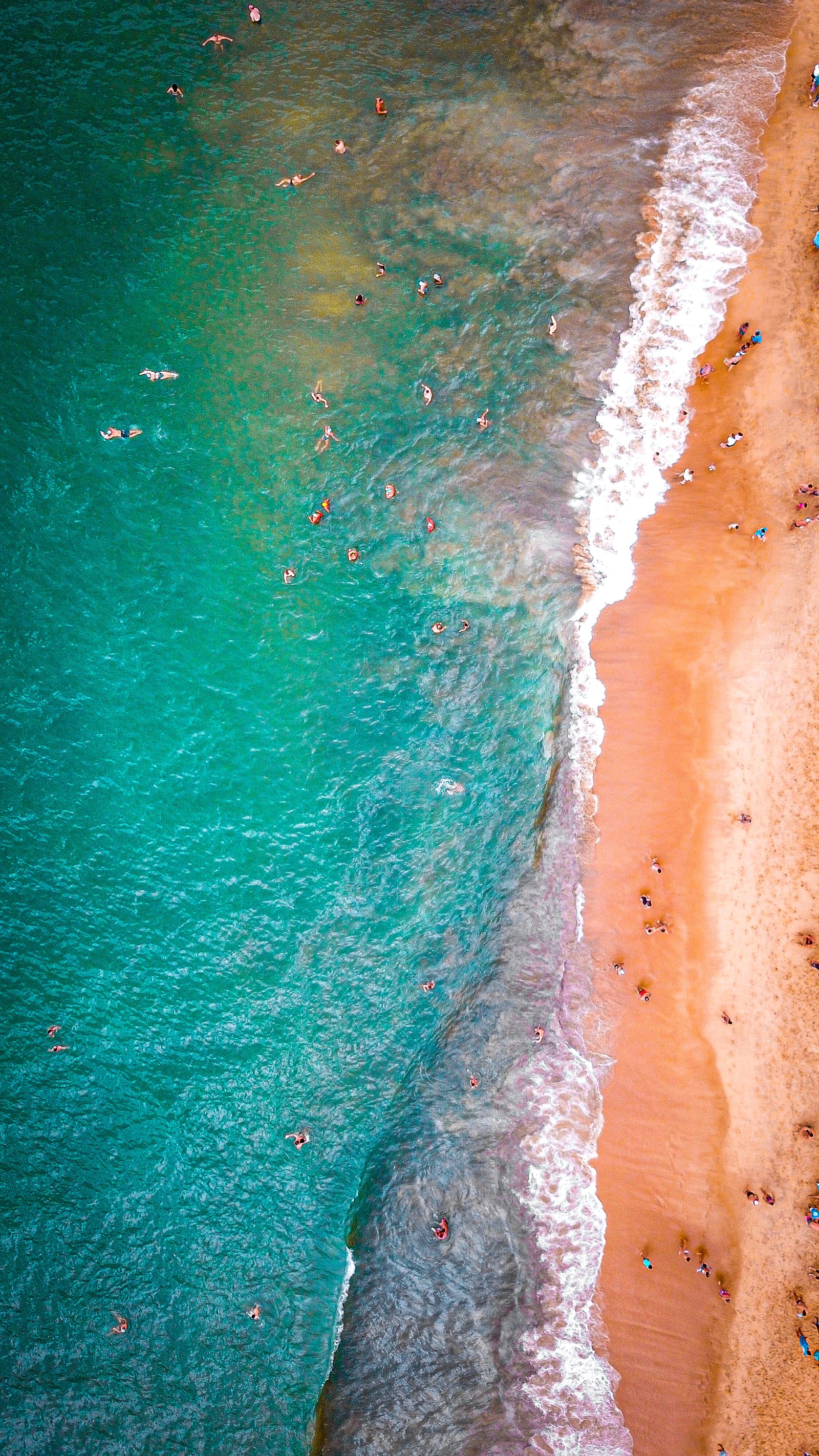 Girafas na praia com pessoas nadando na água (água, oceano, física, ciência, líquido)