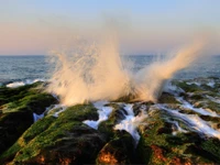 As ondas da manhã quebram nas rochas cobertas de musgo