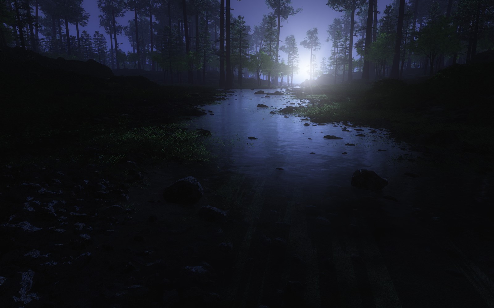 A dark forest with a stream of water and a bright light (dark forest, water stream, trees, landscape, woods)