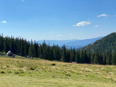 Atemberaubende Hochlandlandschaft mit üppigen Wiesen und bergiger Kulisse