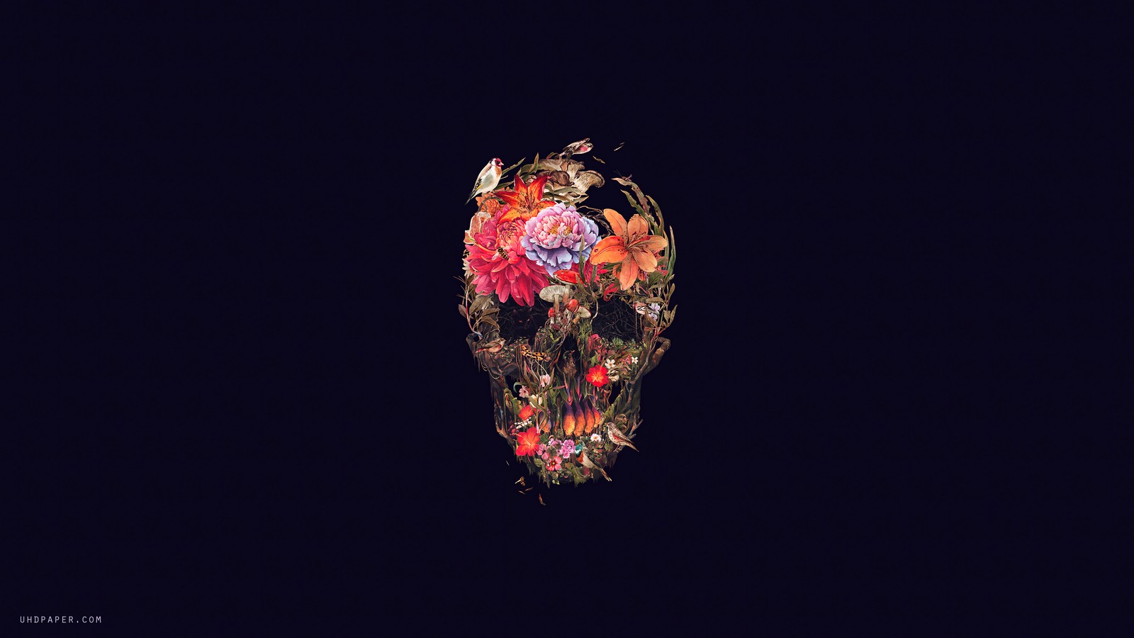 A close up of a bird with flowers on its head (flowery, flowers, skull, dark, background)