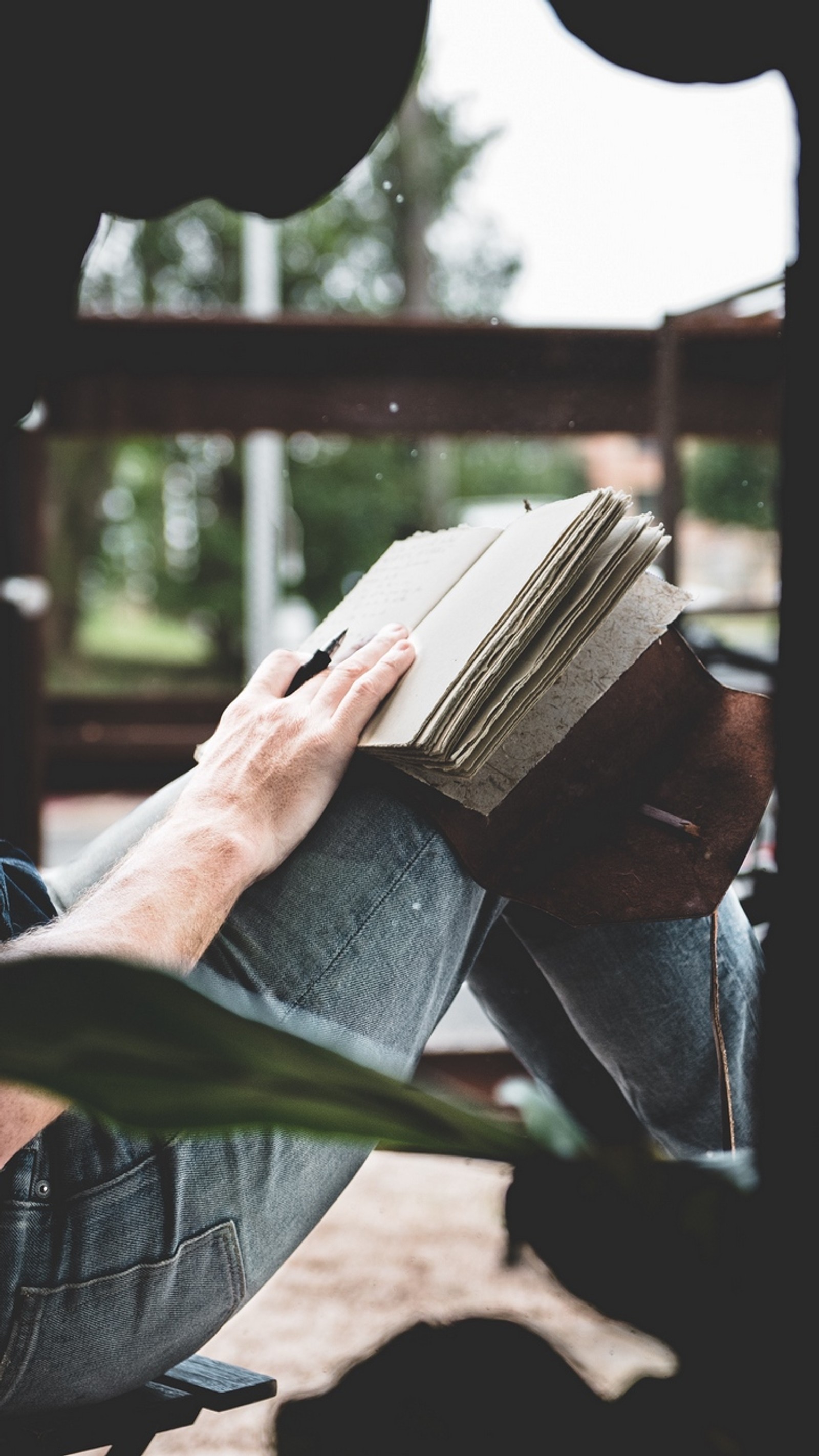 Alguém está lendo um livro enquanto está sentado em uma cadeira (escrita, escritor, livro, leitura, conforto)