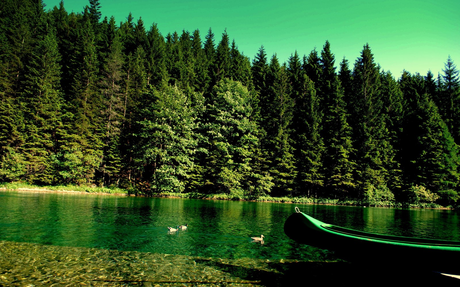 There is a boat that is sitting in the water near the shore (nature, green, reflection, water, wilderness)