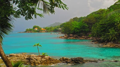 paisaje, naturaleza, paisaje natural, trópicos, mar