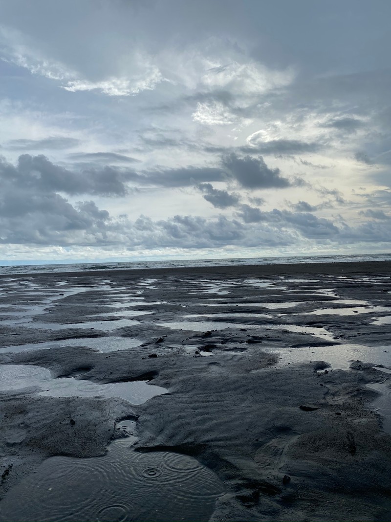 На пляже стоит одинокая белая птица. (индонезия, бали, bali, арктический океан, прилив)