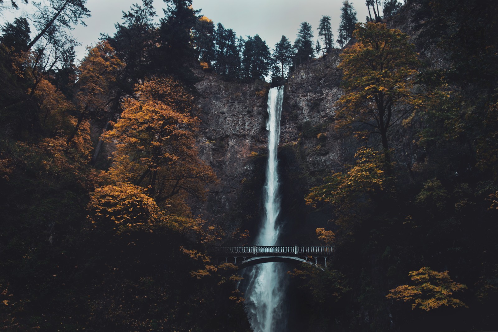 Une vue d'une cascade avec un pont au-dessus au milieu d'une forêt (chutes de multnomah, multnomah falls, la cascade, eau, nature)