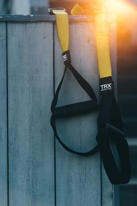 Sangles de suspension TRX pour l'entraînement de force au poids du corps dans un centre de fitness