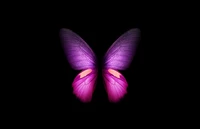 Superbe papillon violet sur fond noir - fond d'écran CGI 4K