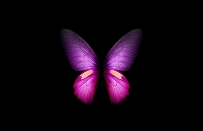 Stunning Purple Butterfly Against a Black Background - 4K CGI Wallpaper