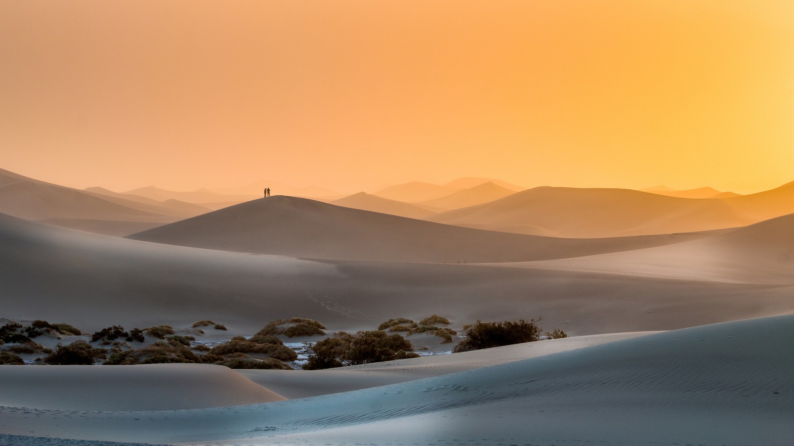 Vue d'un désert avec quelques arbres au premier plan (aube, horizon, sable, matin, atmosphère)