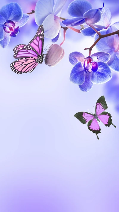 blue, butterflies, flowers, nature, orchids