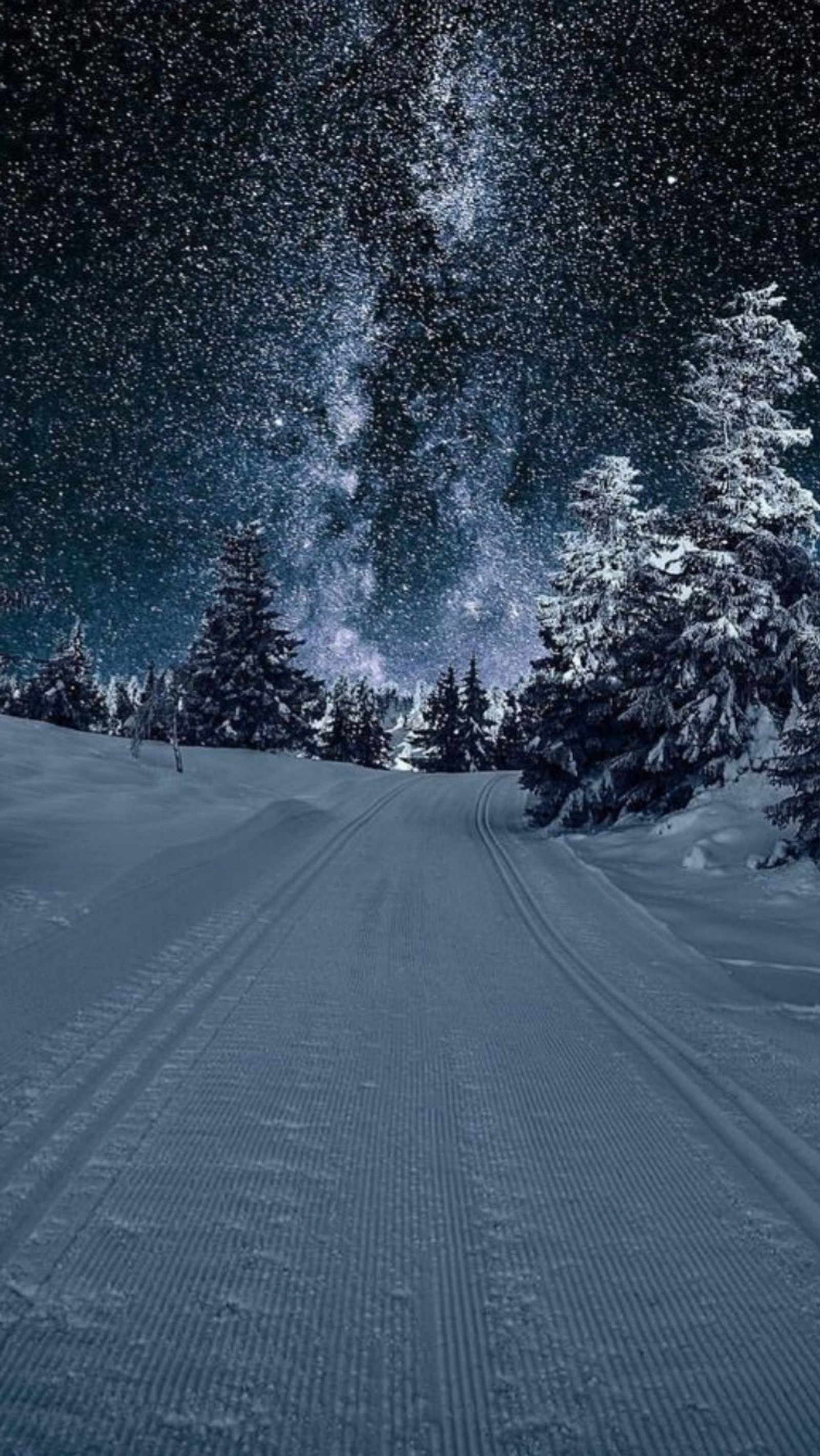 Route enneigée avec des traces et des arbres au premier plan la nuit (aurore, borealis, naturel, neige, nuit)