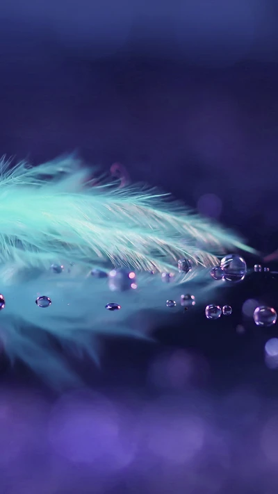 blue, drops, feather