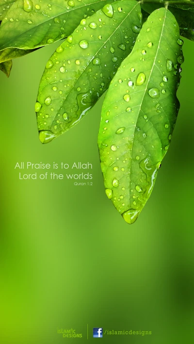 All Praise to Allah: A Reflection of Creation