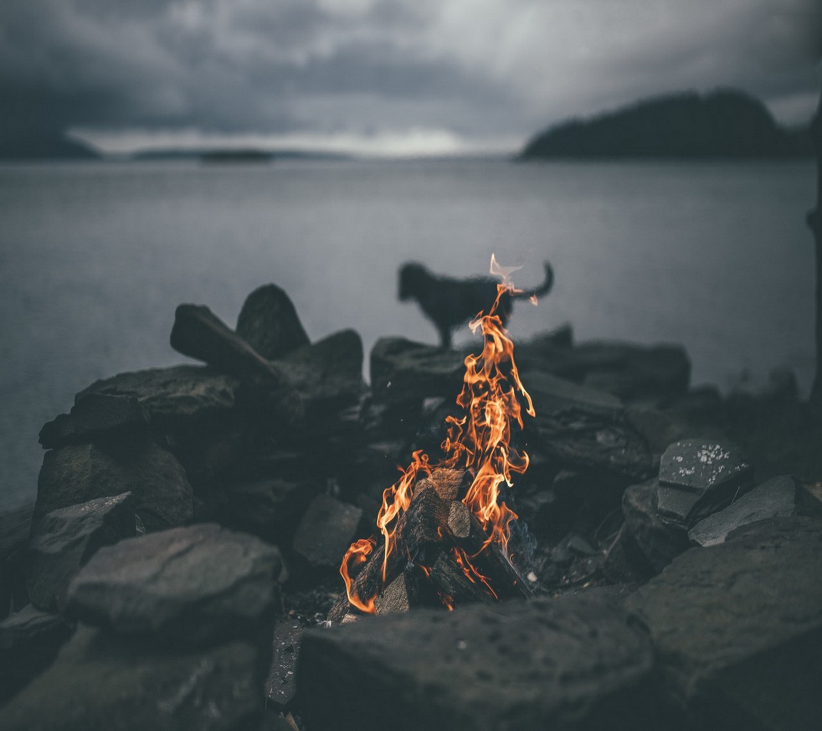 Há um fogo ardendo nas pedras perto da água (praia, acampamento, fogo, mar)