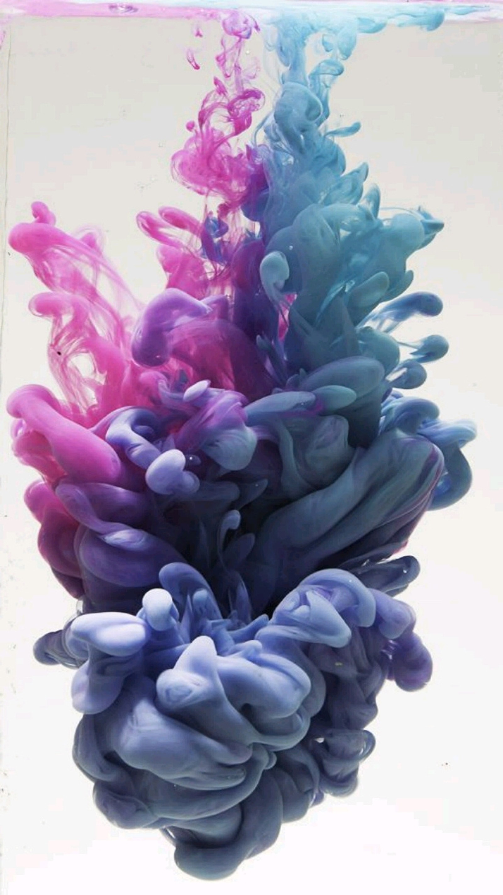 A close up of a colorful liquid substance in a glass (colour, paint, abstract)