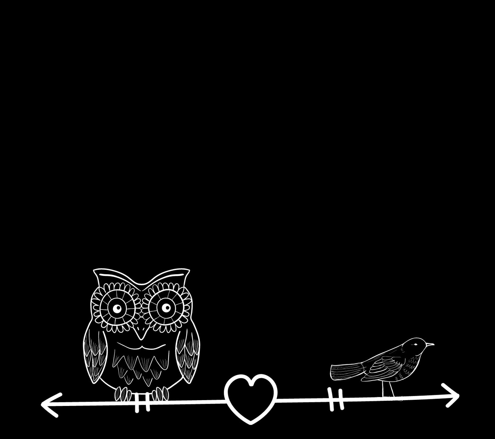 There is a black and white photo of two owls on a wire (bird, black, white)