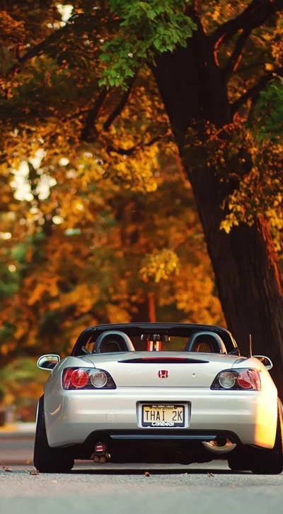 Honda S2000 Cabriolet garé sur une route d'automne recouverte de feuilles