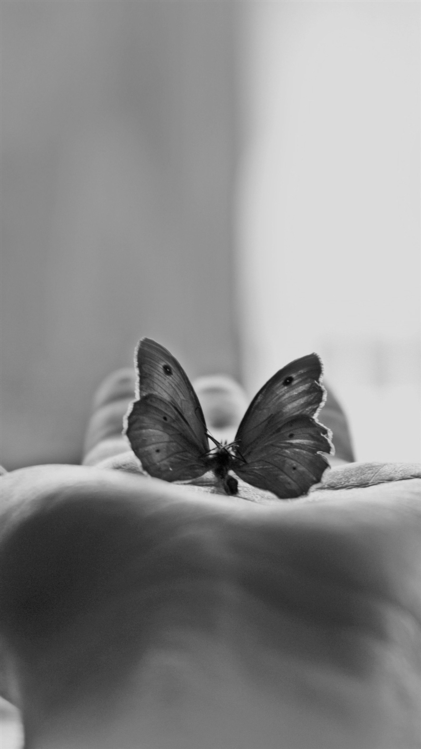 There is a butterfly that is sitting on a persons hand (art, butterfly)