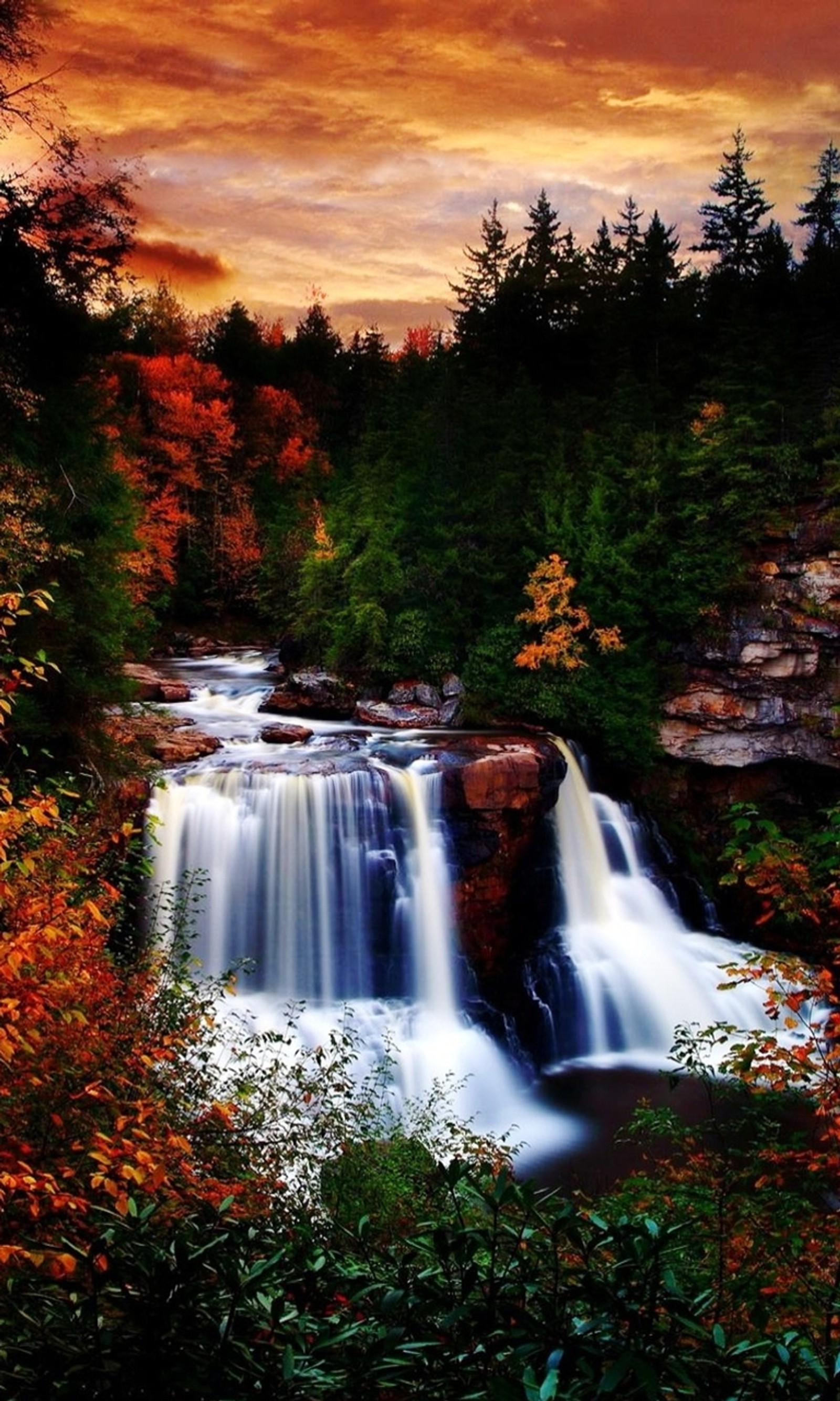 Primer plano de una cascada con árboles al fondo (otoño, bosque, naturaleza, nuevo, agradable)