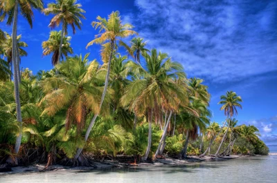 Palmeiras tropicais exuberantes ladeando uma costa serena sob um vibrante céu azul.